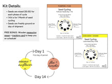 Load image into Gallery viewer, Pre-Ground Seed Cycling Kit Phase 1 and Phase 2